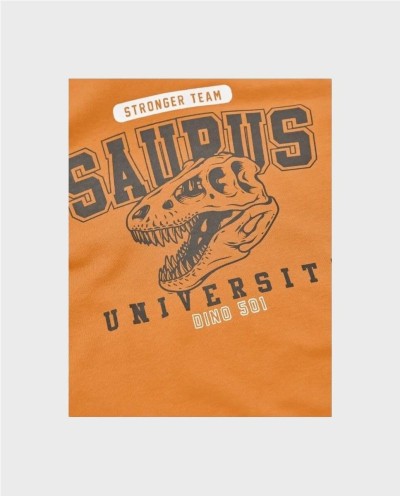 SUDADERA CAPUCHA SAURUS