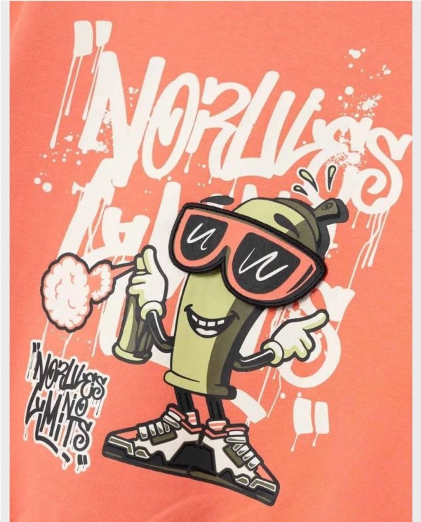 SUDADERA AFELPADA NIÑO "NOLAN" FUSION CORAL 2