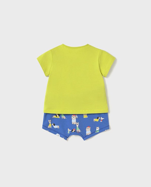 CONJUNTO DE PUNTO ANIMALES AZUL