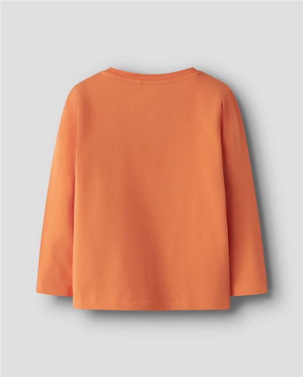 CAMISETA PRINT DINOSAUR