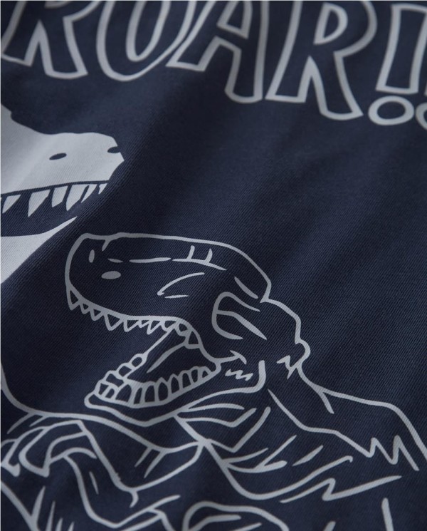 CAMISETA PRINT DINOSAUR 2