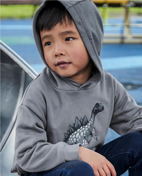 SUDADERA CAPUCHA DINOSAUR