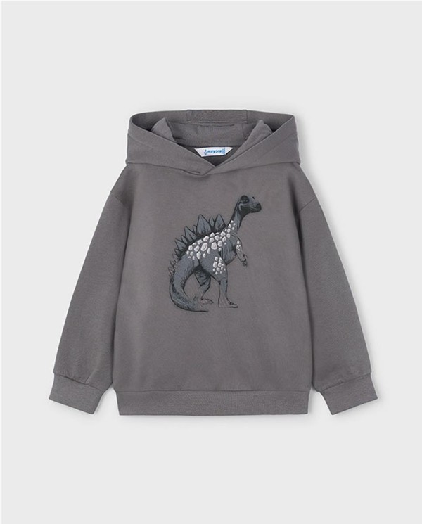 SUDADERA CAPUCHA DINOSAUR 2
