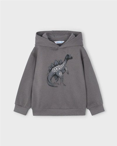 SUDADERA CAPUCHA DINOSAUR