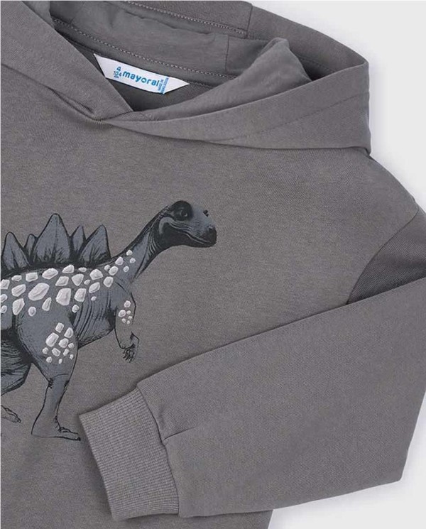 SUDADERA CAPUCHA DINOSAUR