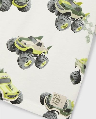 CAMISETA ESTAMPADA  TRUCKS