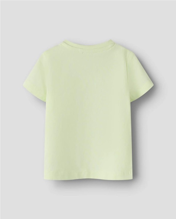CAMISETA M/C TORTUGA