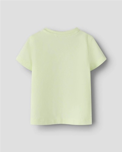 CAMISETA M/C TORTUGA