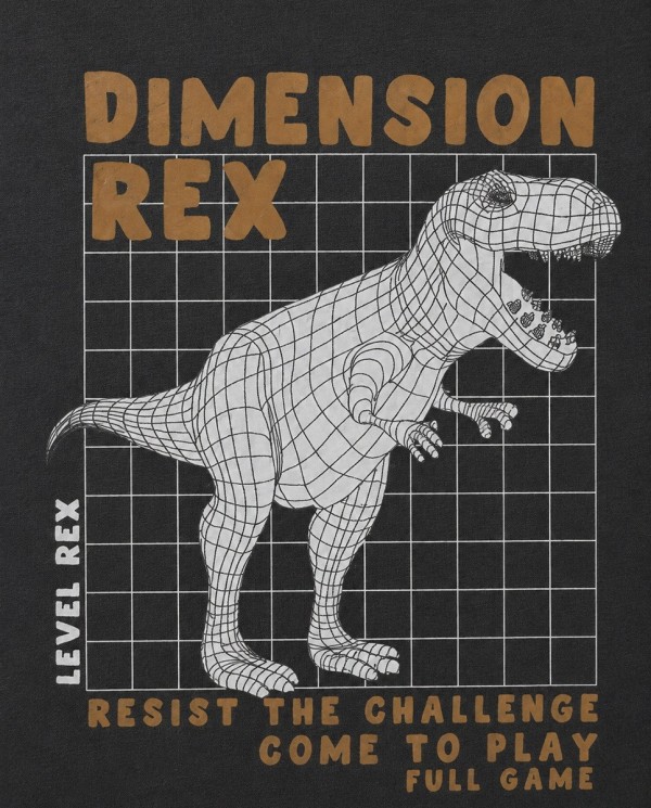 CAMISETA DIMENSION REX 2