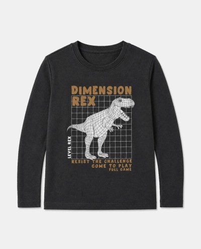 CAMISETA DIMENSION REX