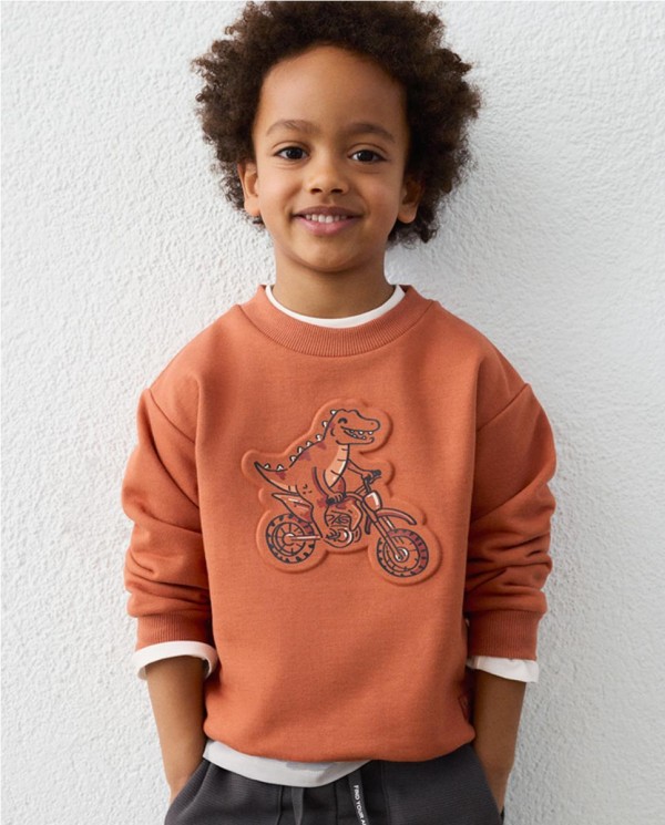 SUDADERA DINO 3D